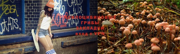 кокс Аркадак