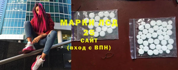 ГАЛЛЮЦИНОГЕННЫЕ ГРИБЫ Михайлов